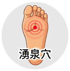 足三里穴位於膝蓋外側下方， 約在膝蓋骨下緣往下四指寬的位置。